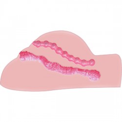 Imagen, masturbador ACT Fat Ass Fucker con vibrador doble orificio vaginal y anal real, online