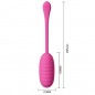 HUEVO VIBRADOR CON APP MOVIL SILCONA USB