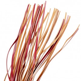 Imagen, Látigo Fetish Submissive de cuero vegano resistente para juegos BDSM, online