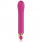 VIBRADOR PUNTO G 10 VELOCIDADES VIBRADOR PUNTO G 10 VELOCIDADES