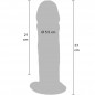 DILDO DELUXE DOBLE DENSIDAD 23 CM