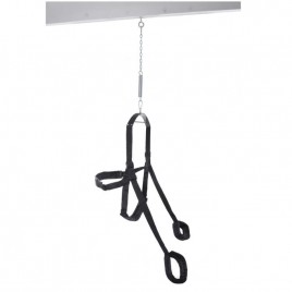 Imagen, columpio erótico negro Fantasy Swing resistente, online