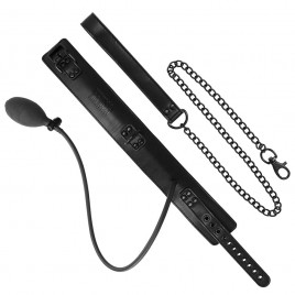 Imagen, collar BDSM con cadena metálica y tirador, online