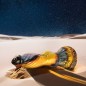 DILDO VIBRADOR CON CONTROL REMOTO EPIC PHOENIX DILDO VIBRADOR CON CONTROL REMOTO EPIC PHOENIX