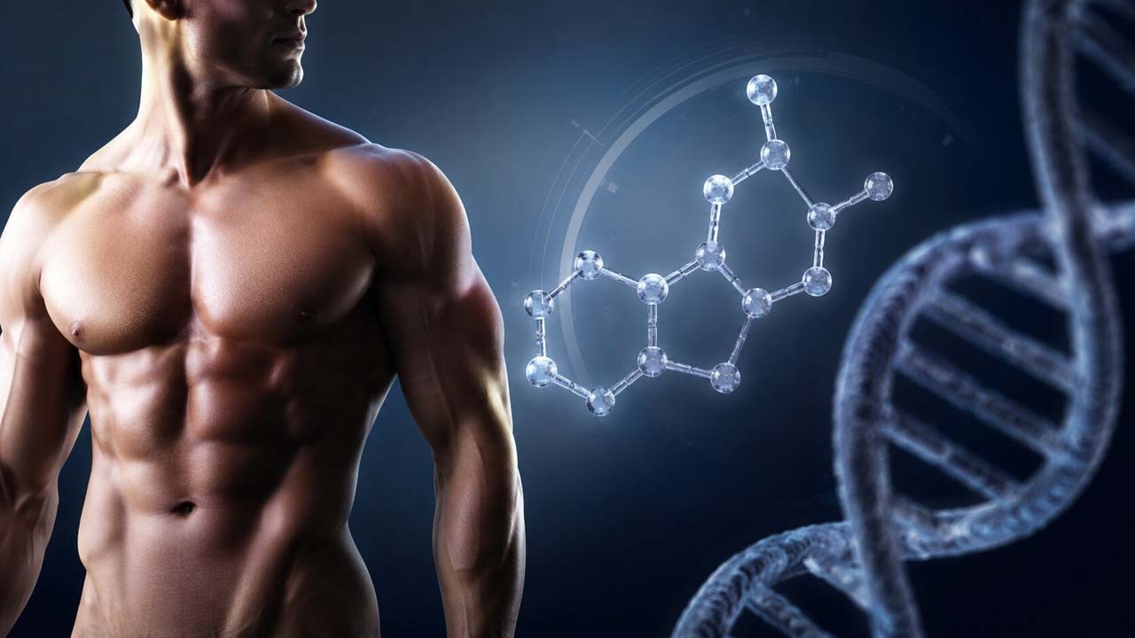 ⚡ Testosterona Baja: Síntomas, Analítica y Cómo Subirla