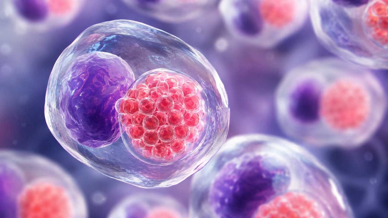 🦠 Clamidia: Síntomas, Prueba y Por Qué Casi Nunca se Nota