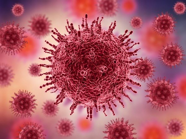 El VIH. Virus de Inmunodeficiencia Humana